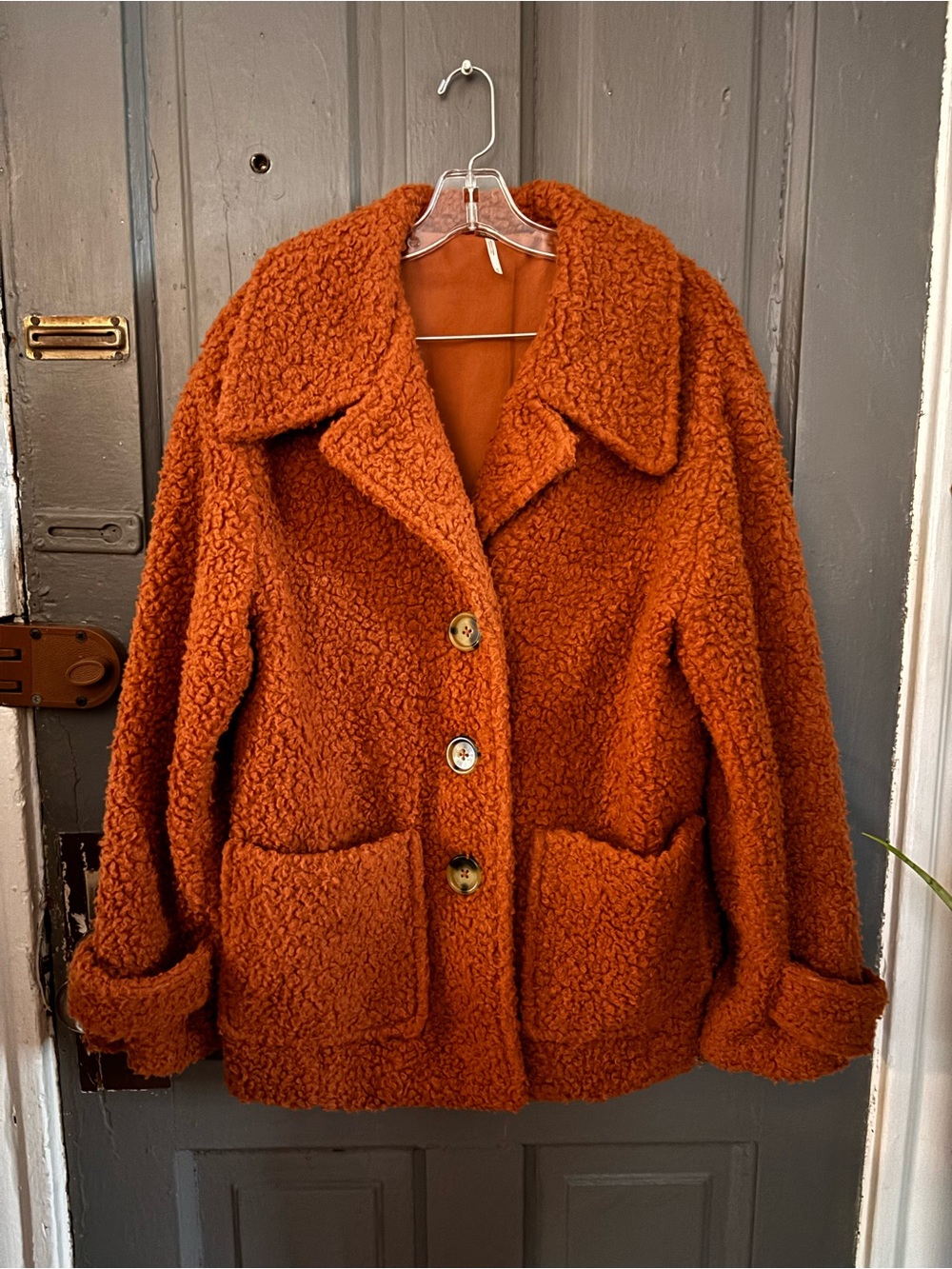 Free People Burnt Orange Teddy Coat